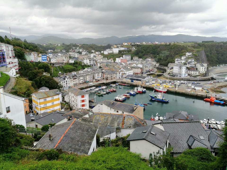 a harbor filled with lots of boats on top of a lush green hillside